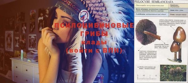 ешки Балабаново