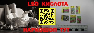 apvp Краснодар