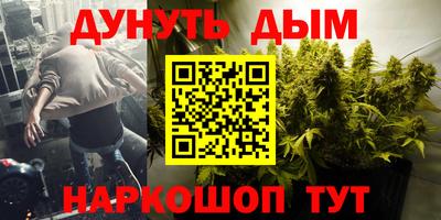 apvp Краснодар