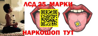 apvp Краснодар