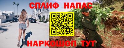 apvp Краснодар