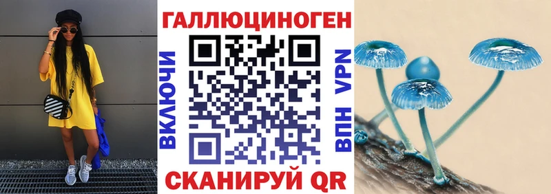 Галлюциногенные грибы прущие грибы  Вольск 