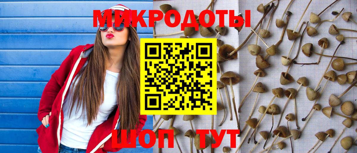 Галлюциногенные грибы Cubensis Вольск